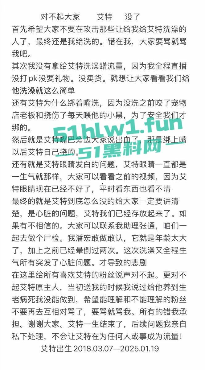网红狗艾特疑遭训狗师【潘宏】虐待致死,女明星陈乔恩蹭热点带节奏被网友骂上热搜。-2